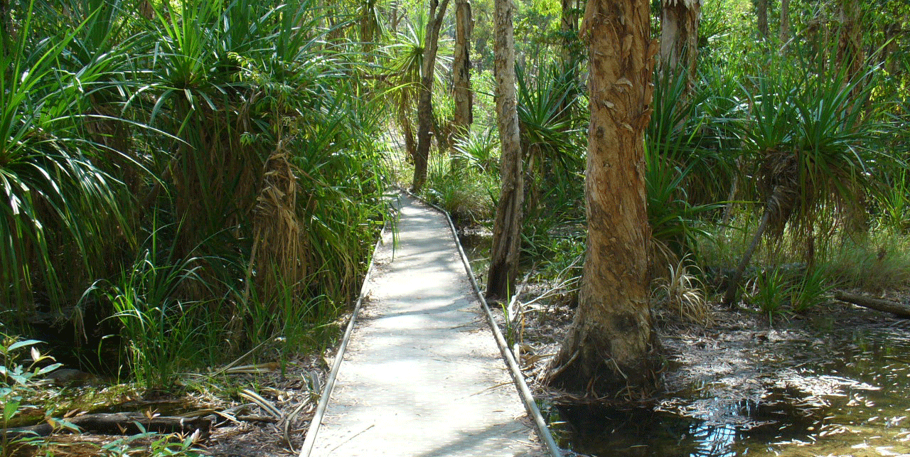 Adventure tours to Maguk waterfall and Barramundi Gorge Kakadu National Park Australia