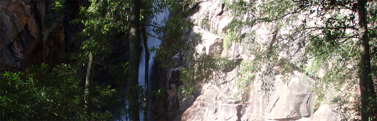 Motor Car Falls in Kakadu