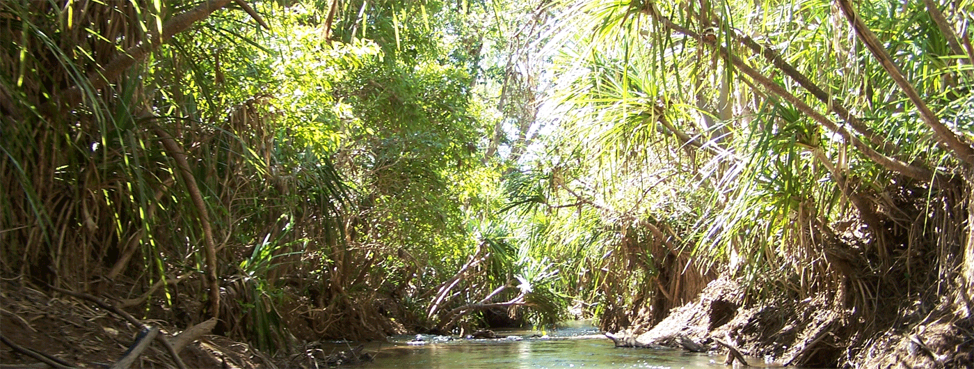 Wickham River Northern Territory Australia on a tailor made personalised canoeing and fishing tour - Credits MGerom