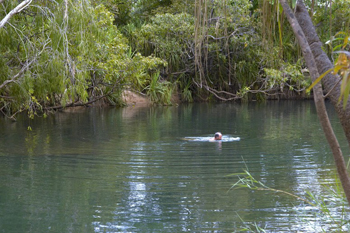 Tjuwaliyn - Douglas Hot Springs Park 