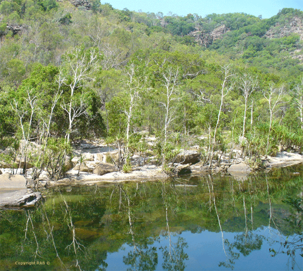 Jim Jim Gorge Kakadu 900m walking trail from the carpark has patches where it's a flat sandy track with pristine scenery and nature abounds in Jum Jim Falls Kakadu