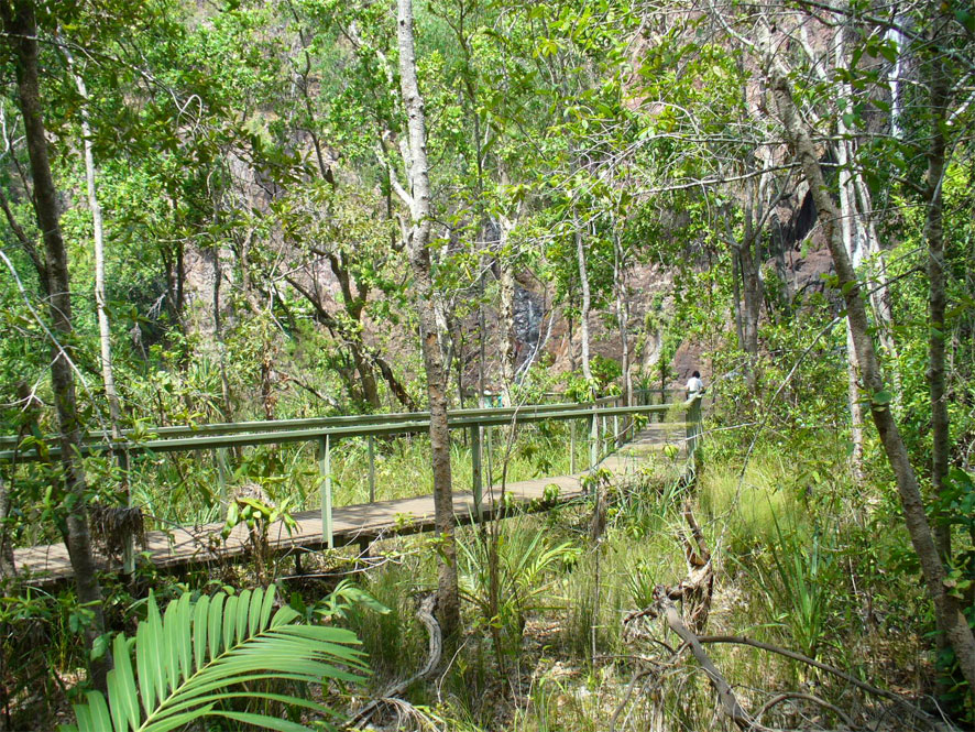 Litchfield Wangi Falls walking trail