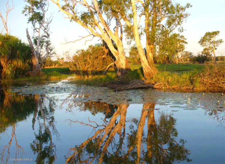 Landscapes seen on our Yellow Water Billabong Cruise in Kakadu